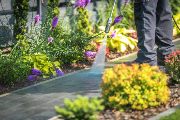 Best Parking Lot Cleaning in Lawrenceville, GA
